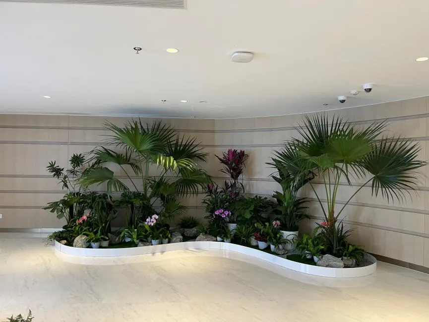 “余姚盆景租摆方案来袭，打造别样景观就现在！验