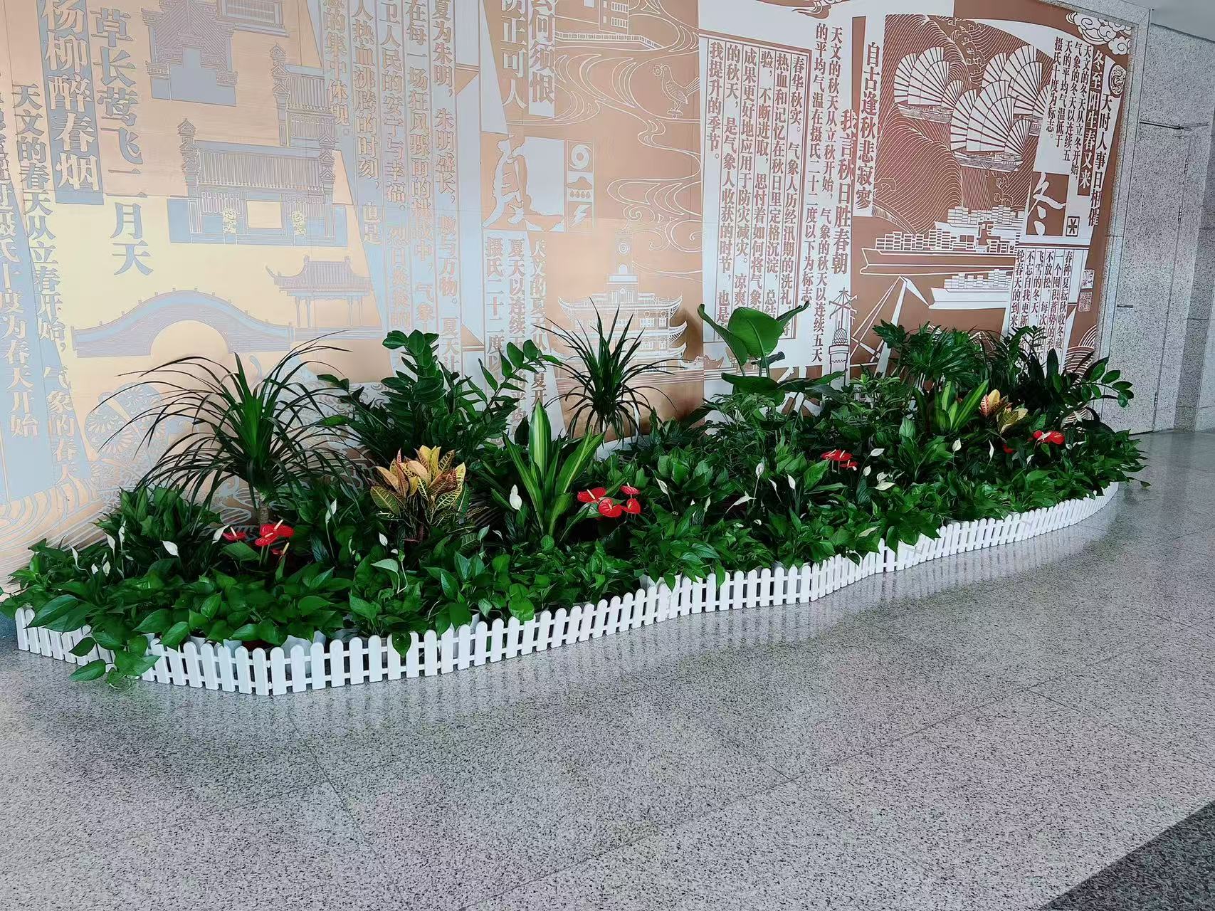 海曙绿植租摆，优质服务开启绿色生活